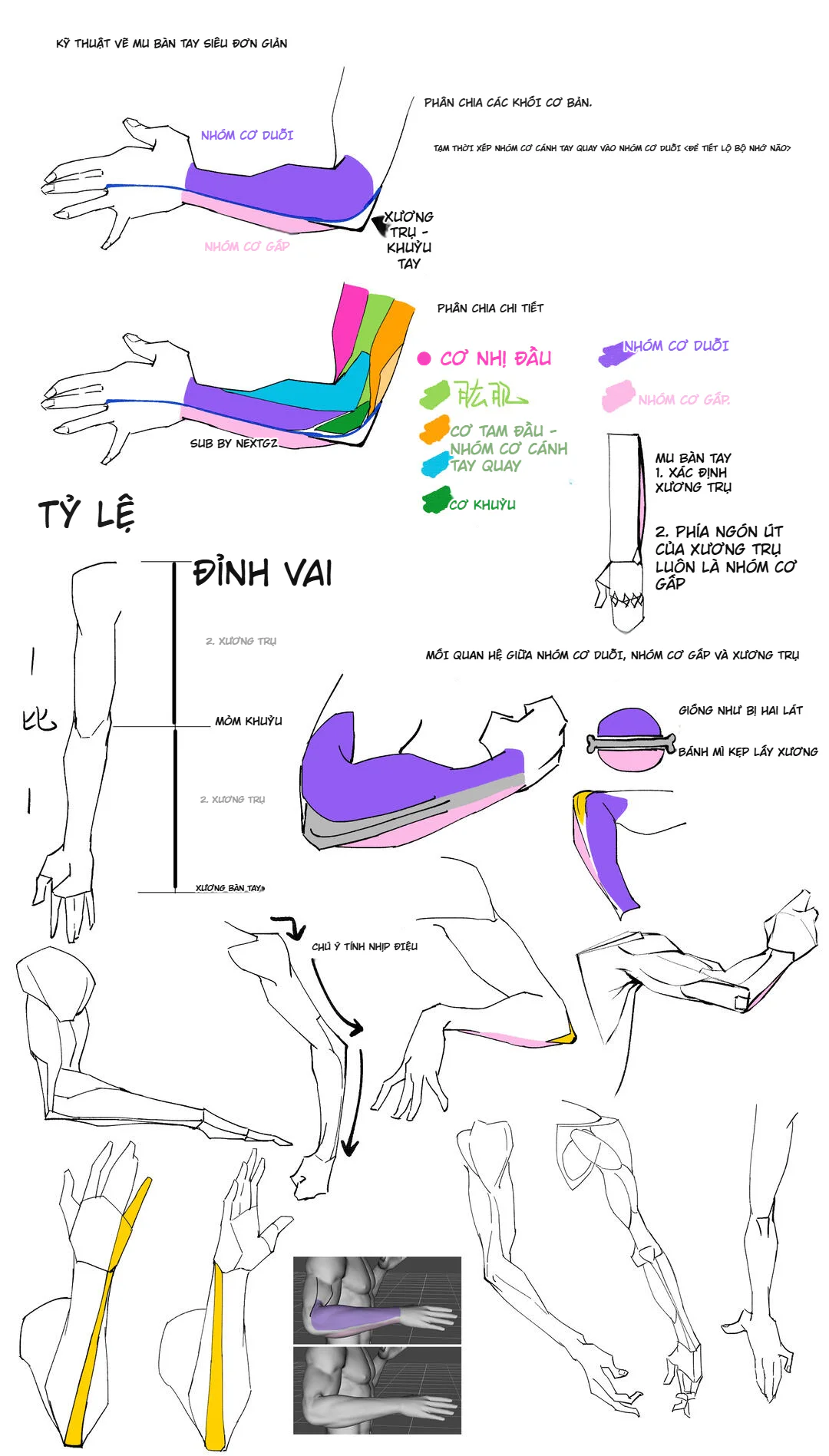 Cách vẽ cẳng tay và mu bàn tay đơn giản: tư duy khối dễ nhớ cho artist