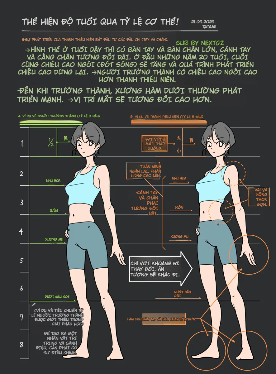 Cách thể hiện độ tuổi nhân vật qua tỷ lệ cơ thể trong anime và manga